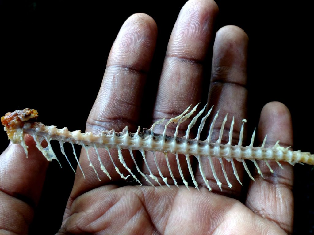 Προσοχή: Τι να κάνετε αν σας κάτσει κόκαλο από ψάρι στον λαιμό