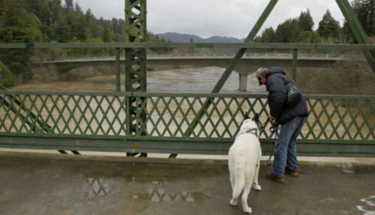 Το μυστικό της γέφυρας – Μυστήριο η μαζική «αυτοκτονία» σκύλων