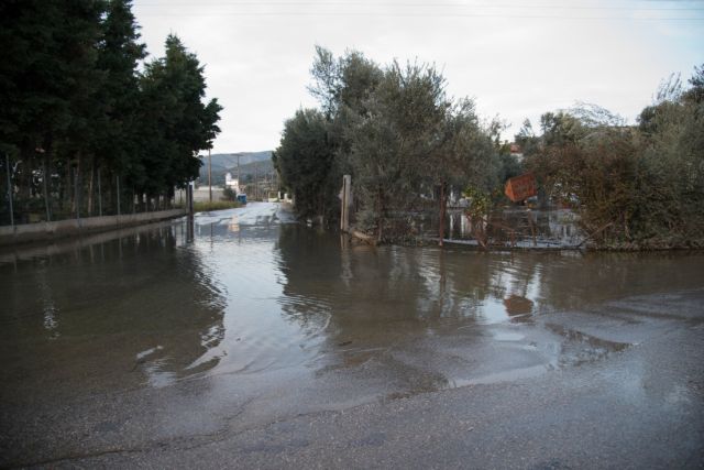 Σε απόγνωση οι κάτοικοι στη Χαλκίδα – Πλημμυρισμένα τρεις μήνες τα σπίτια τους – Γέμισαν σκνίπες και κουνούπια (φώτο)