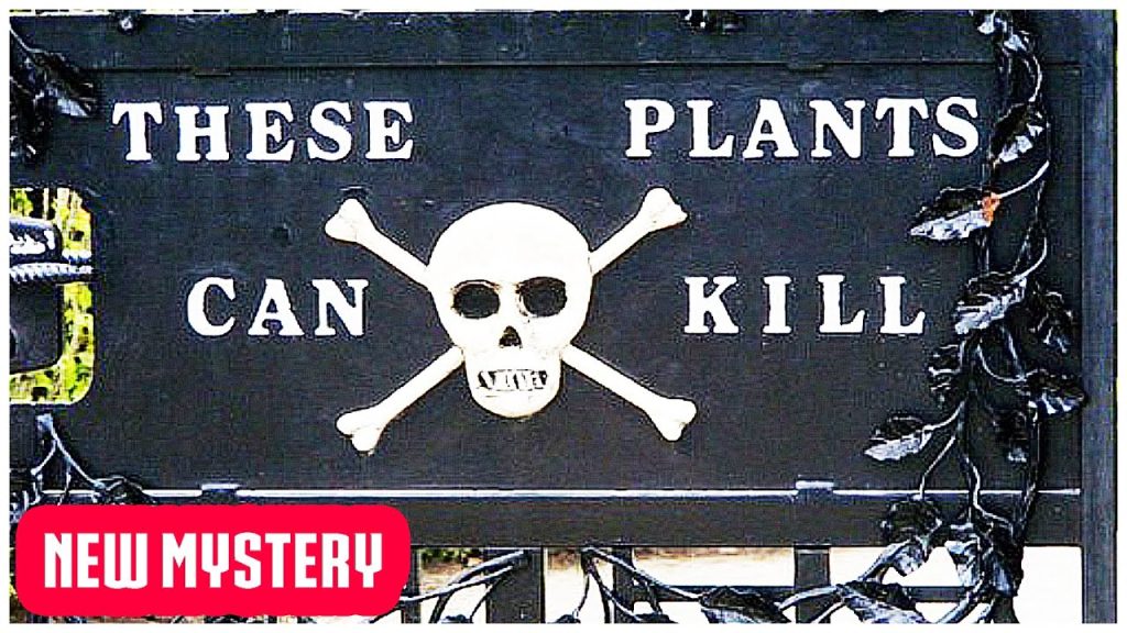 Βίντεο: Δέκα δηλητηριώδη φυτά που μπορούν να σας σκοτώσουν μέσα σε λίγα λεπτά