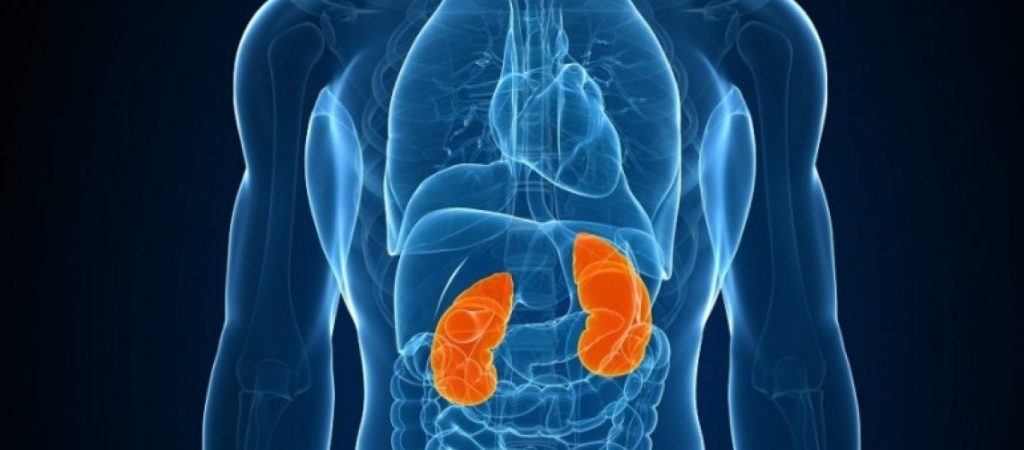 Νεφρική ανεπάρκεια: Αυτά είναι τα επικίνδυνα σημάδια