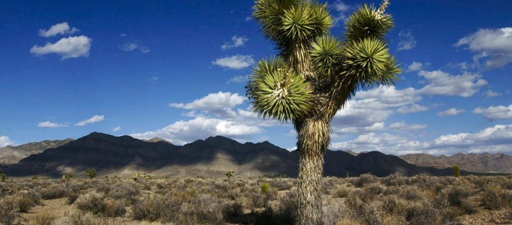 Area 51: Ο όρκος σιωπής για την περιοχή – φάντασμα που κανείς δεν τολμάει να πάει