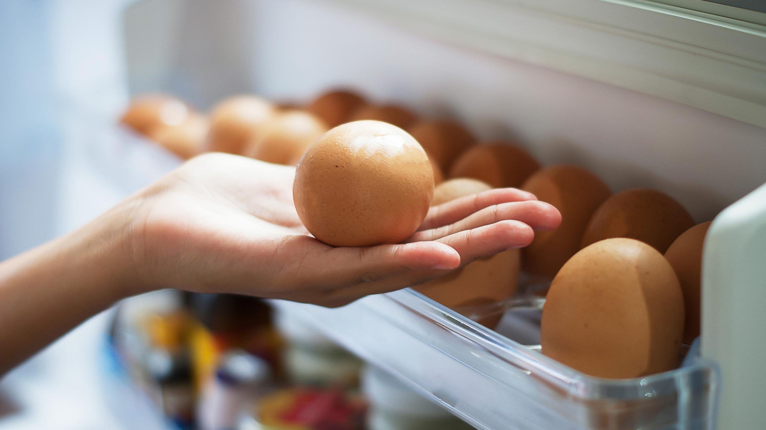 Αυτός είναι ο λόγος που δεν πρέπει να βάζετε ποτέ τα αυγά στην πόρτα του ψυγείου
