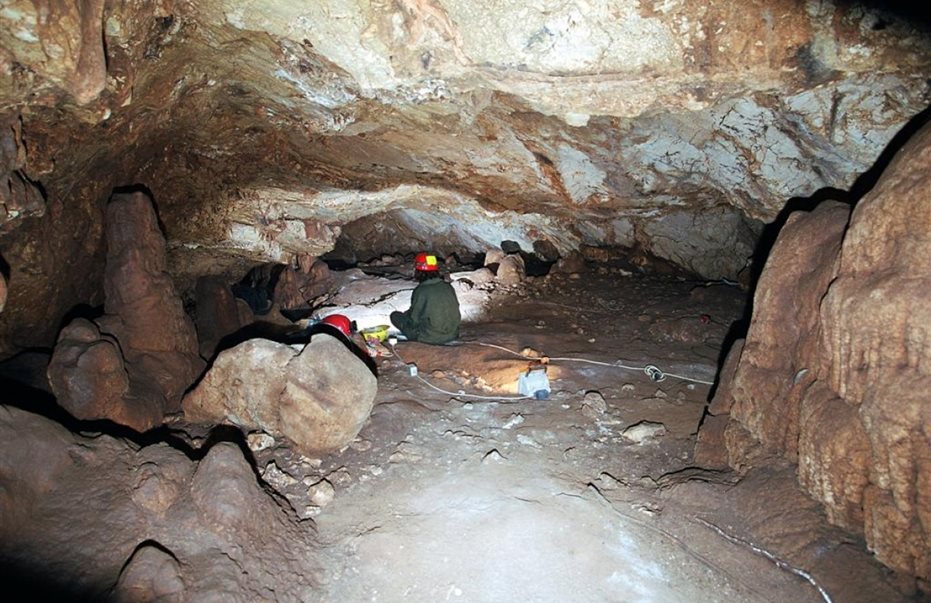 Ένα σπάνιο σπήλαιο εκατομμυρίων ετών ανακαλύφθηκε στη Ρηνανία (βίντεο)