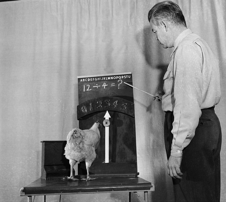 nnfaeffsfstdrydfaetser6