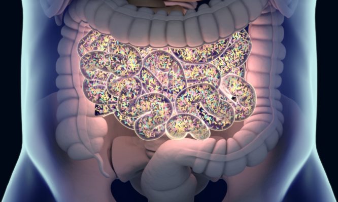 Περιτονίτιδα: Τι είναι η νόσος – Προσοχή στα «απλά» στομαχικά συμπτώματα