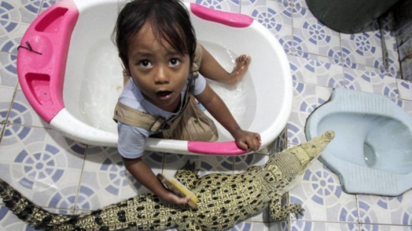 Μία πιτσιρίκα έχει για κατοικίδιο έναν κροκόδειλο και κοιμάται μαζί του (βίντεο)