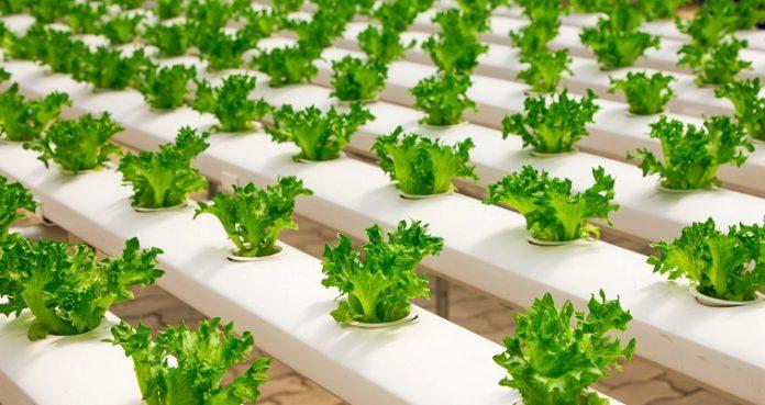 Πώς θα τρέφονται οι άνθρωποι το 2050 – Βήματα προόδου ή παρακμής;