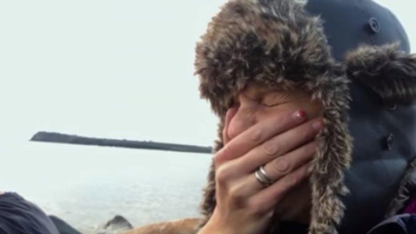 Η στιγμή που χιλιάδες θαλάσσιοι ίπποι οδηγούνται στον θάνατο – Θα «λυγίσετε»! (βίντεο)