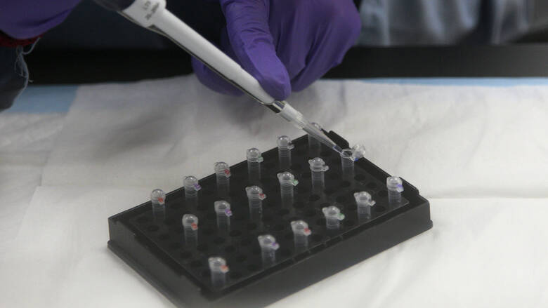 Ζευγάρι έκανε τεστ DNA «για πλάκα» – Το «σκοτεινό μυστικό» που ανακάλυψε τούς άλλαξε τη ζωή!