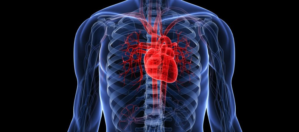 Σε τι μπορεί να οφείλεται η ξαφνική καρδιακή προσβολή σε υγιή άτομα