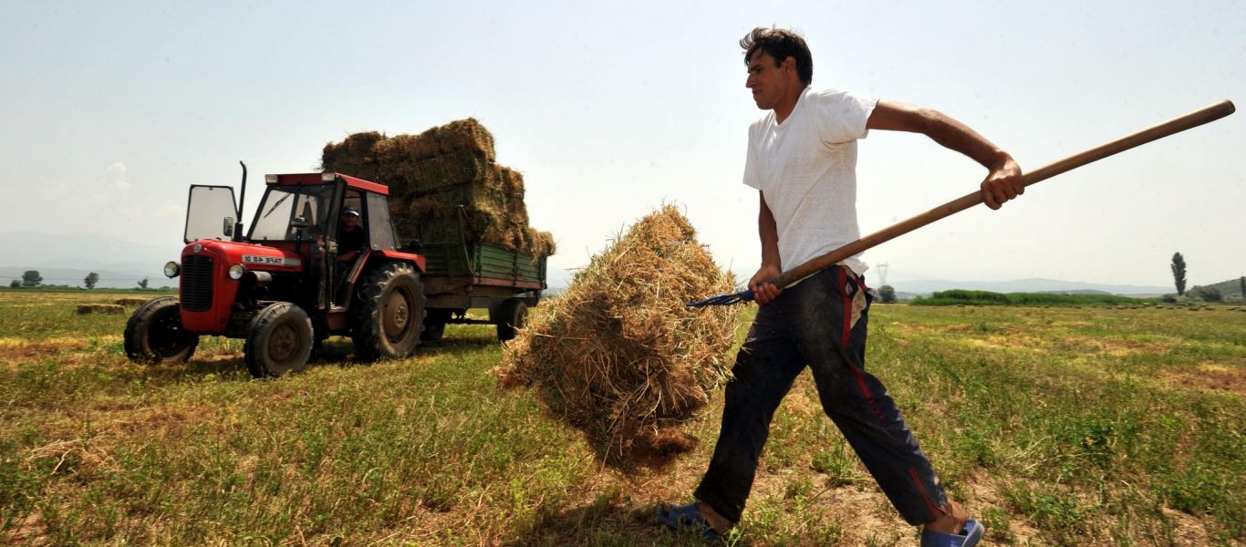 «Ανάσα» 4,6 εκατ. ευρώ σε 1.005 δικαιούχους αγρότες
