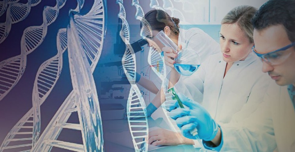 Έλληνες επιστήμονες ανάμεσα στα μεγαλύτερα μυαλά της επιστήμης