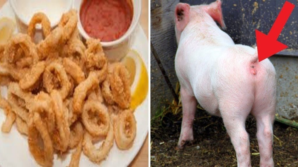 Βίντεο: 5 προϊόντα που δεν θα τρώγατε ποτέ εάν ξέρατε από τι φτιάχνονται!