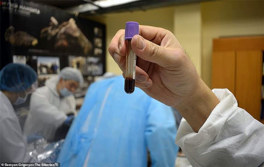 Σιβηρία: Επιστήμονες βρήκαν άλογο που είχε θαφτεί πριν 42.000 χρόνια και θέλουν να το… κλωνοποιήσουν (βίντεο-φωτο)