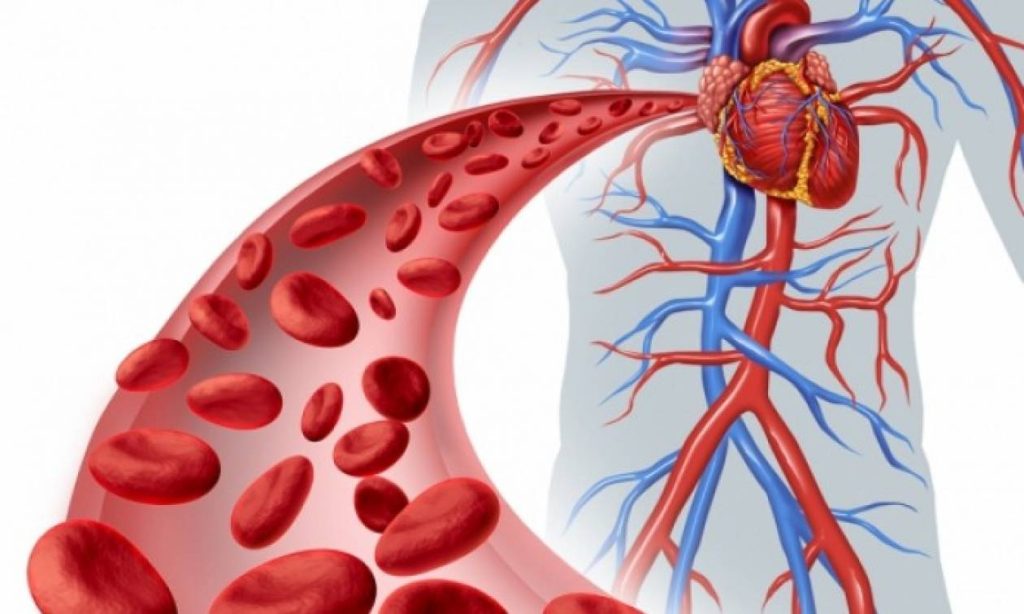 Αγγειίτιδα: Τα «αθώα» συμπτώματα από σοβαρό πρόβλημα στα αγγεία – Ποια είναι η θεραπεία