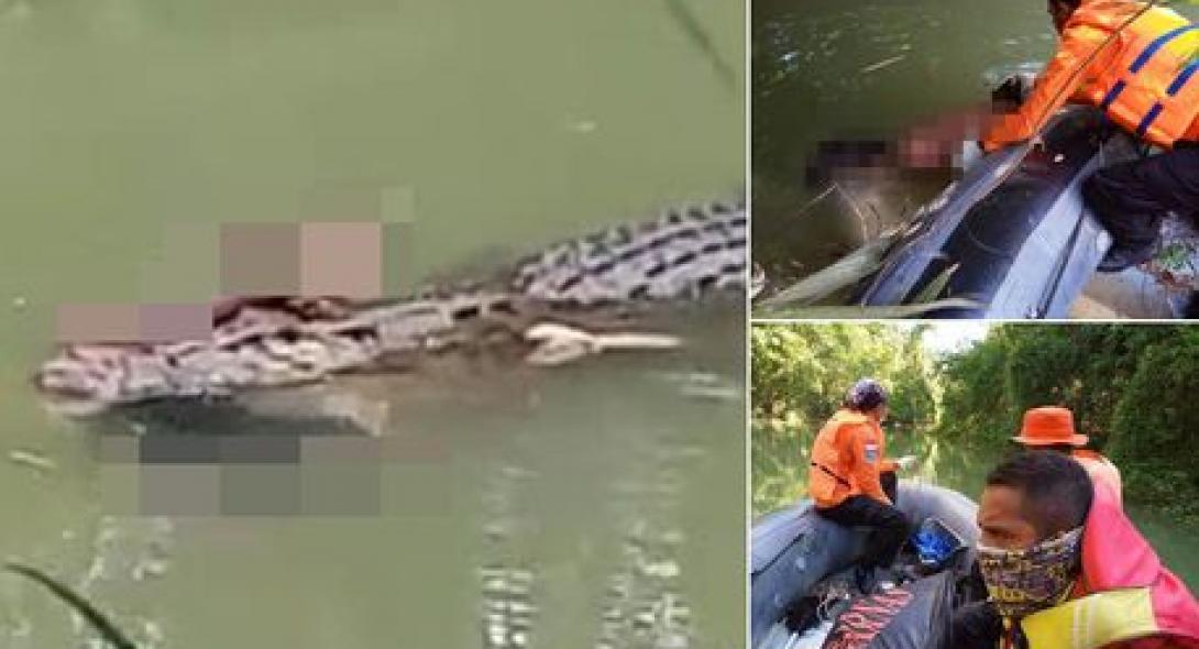 Bίντεο-σοκ: Κροκόδειλος κολυμπάει στο ποτάμι με το σώμα ενός άνδρα στο στόμα του