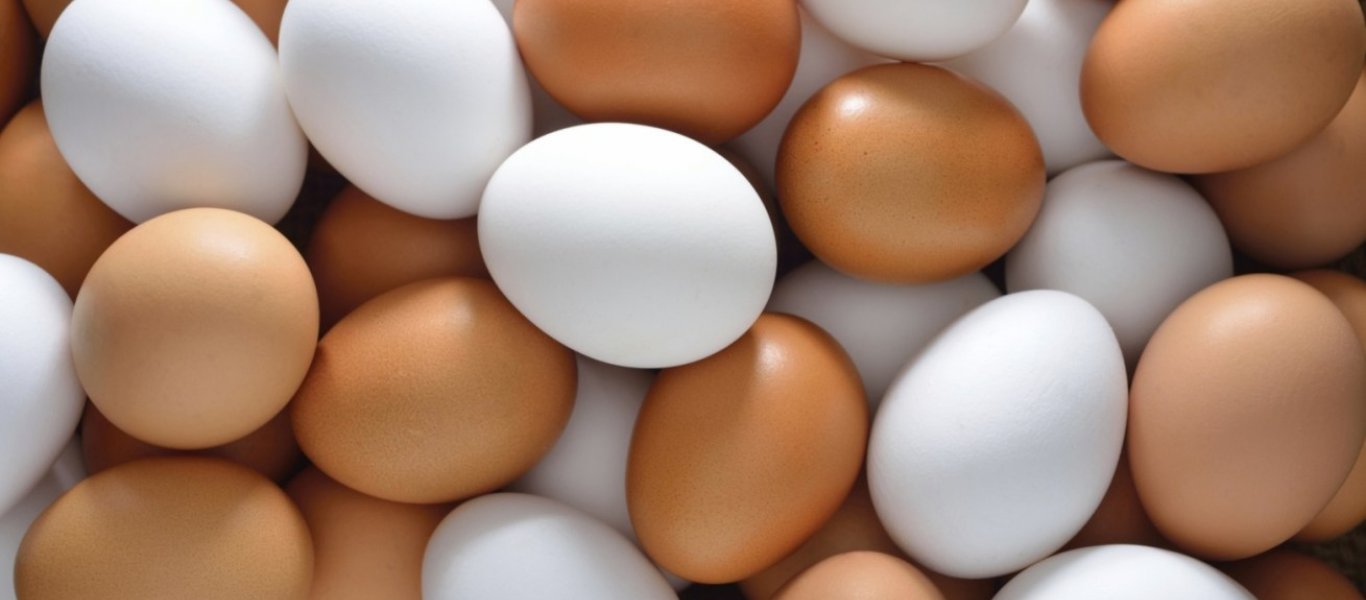 Γιατί υπάρχουν άσπρα και καφέ αυγά- Ποια είναι η διαφορά μεταξύ τους;
