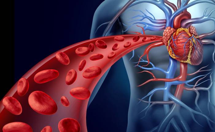 Κακή κυκλοφορία αίματος: Ποια είναι τα ανησυχητικά σημάδια