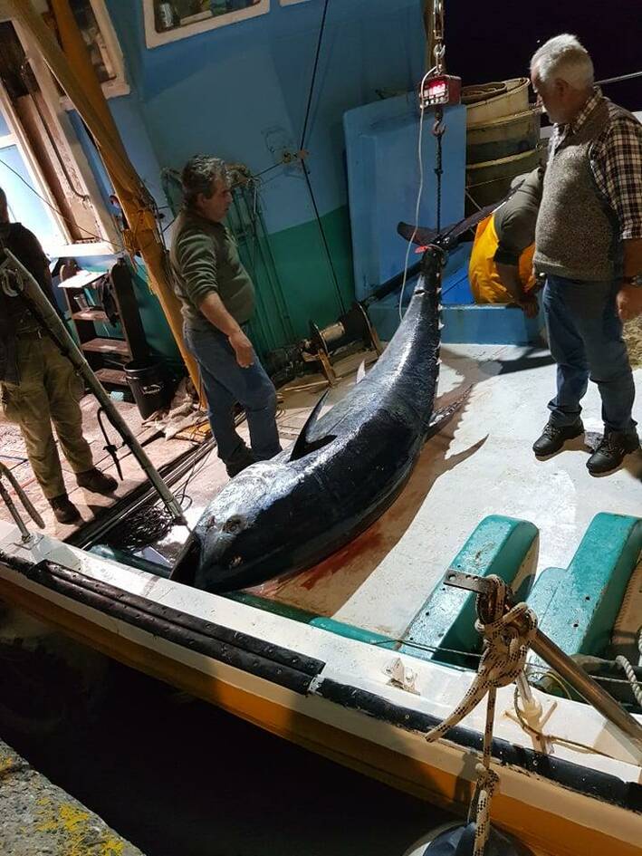 Νάξος: Βρήκαν «θηρίο» στη θάλασσα (φωτο)