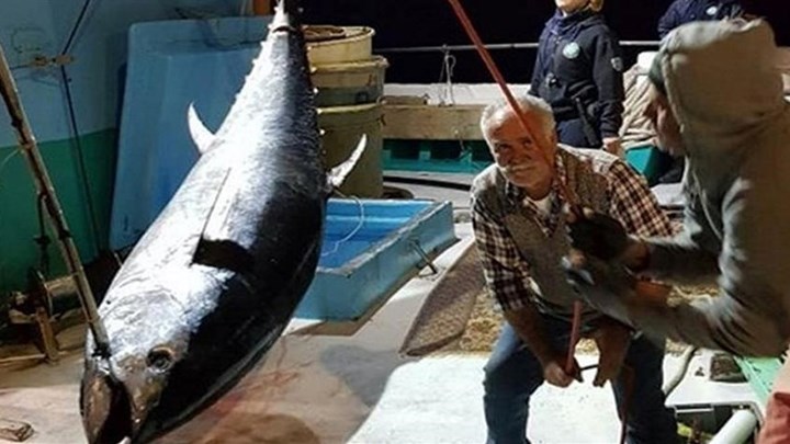 Φωτό: Ψάρεψαν τόνο «γίγαντα» στο Αιγαίο