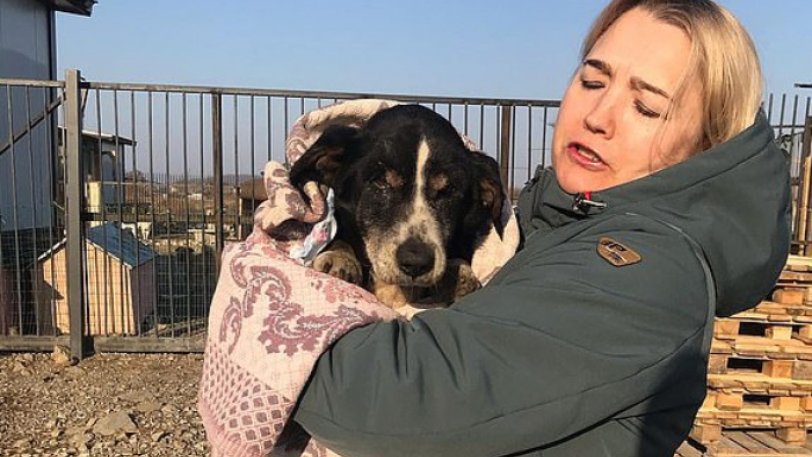 Έθαψαν το σκυλί τους ζωντανό γιατί δεν ξυπνούσε