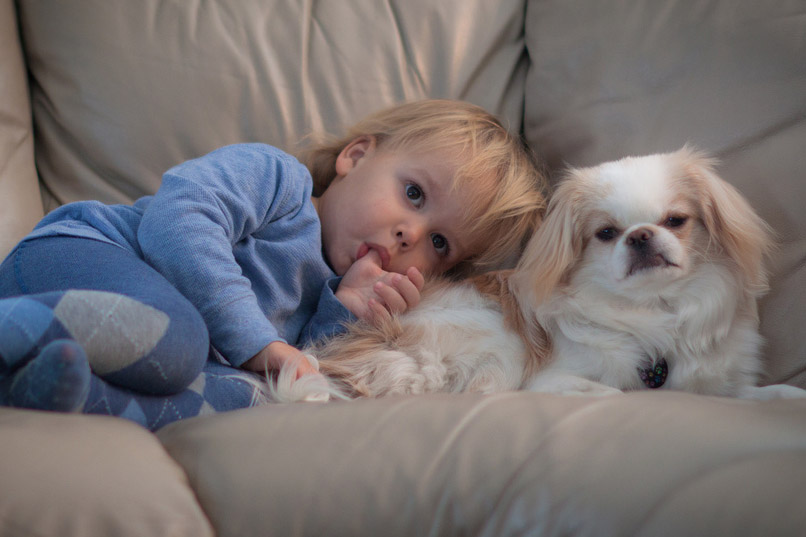 Τα θετικά του να μεγαλώνει ένα παιδί με κατοικίδιο