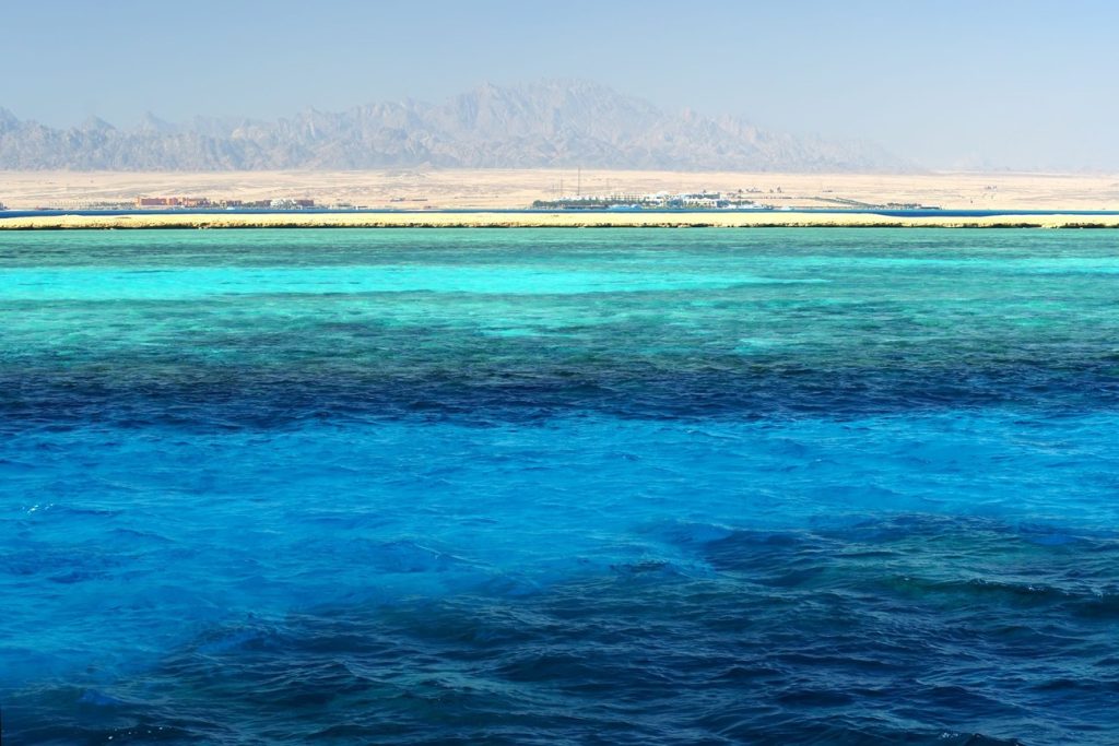 Aνακαλύφθηκε νέο μυστηριώδες πλάσμα στα βάθη του Ινδικού Ωκεανού (βίντεο)