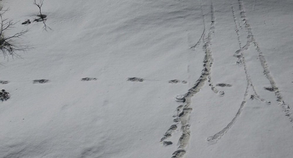Ο στρατός του Νεπάλ απάντησε στα δημοσιεύματα για Γέτι στα Ιμαλάια