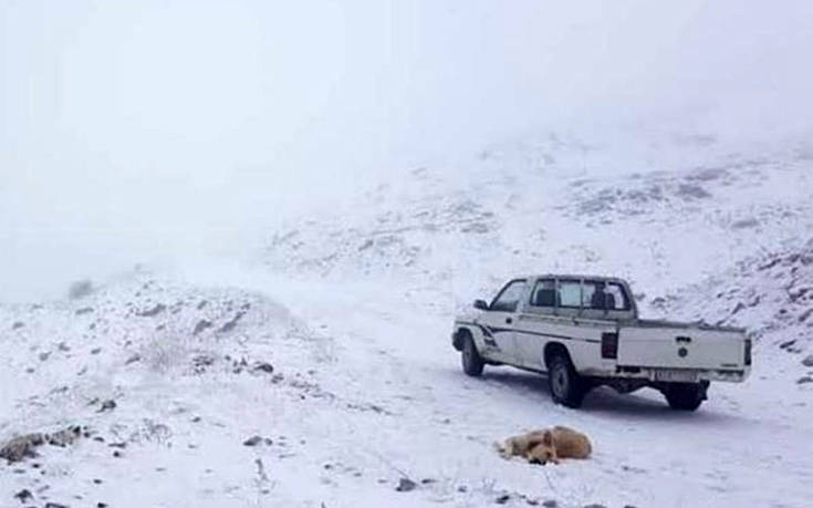 Τα χιόνια στα Ιωάννινα θύμισαν Ιανουάριο – Δείτε τις φωτογραφίες από το κάτασπρο… ανοιξιάτικο τοπίο