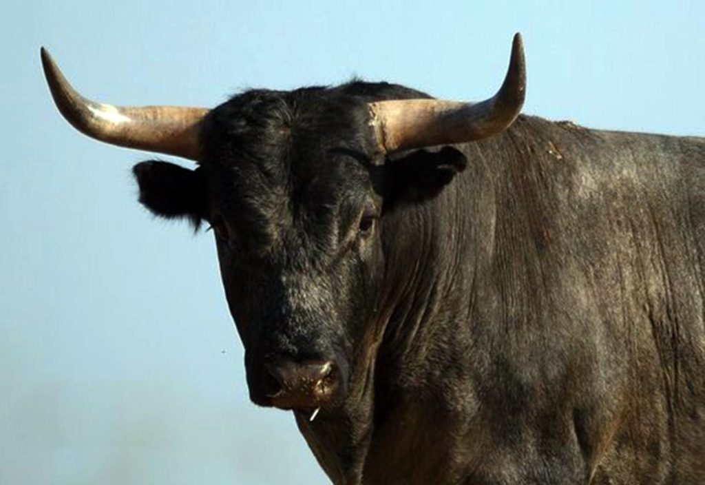 Μεξικό: Δείτε την τρομακτική στιγμή που ταύρος σπάει το σαγόνι γυναίκας ταυρομάχου (βίντεο)