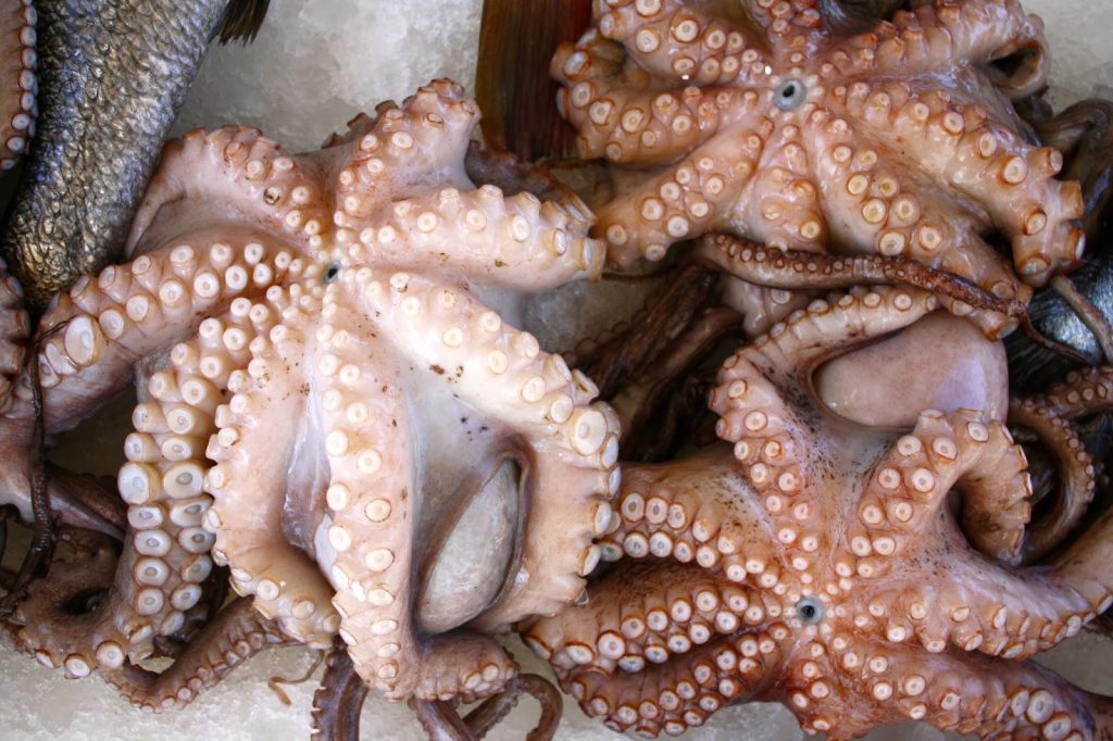 Κίνα: Δείτε τη στιγμή που τεράστιο χταπόδι επιτίθεται σε γυναίκα που προσπάθησε να το φάει ζωντανό (βίντεο)