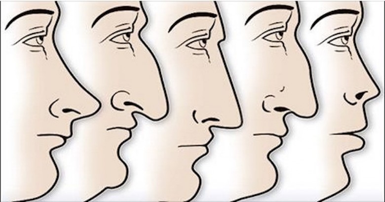 Δείτε τι αποκαλύπτει το σχήμα της μύτης σας για την προσωπικότητά σας;