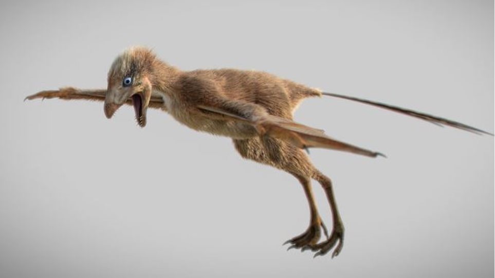 Μεγάλη ανακάλυψη: Βρέθηκε «μίνι» δεινόσαυρος με φτερά νυχτερίδας – Ο πρώτος που πέταξε στην αρχή της Ιστορίας