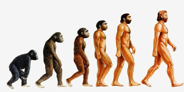 Τι ανάγκασε τον άνθρωπο να περπατήσει όρθιος στα δυό του πόδια;