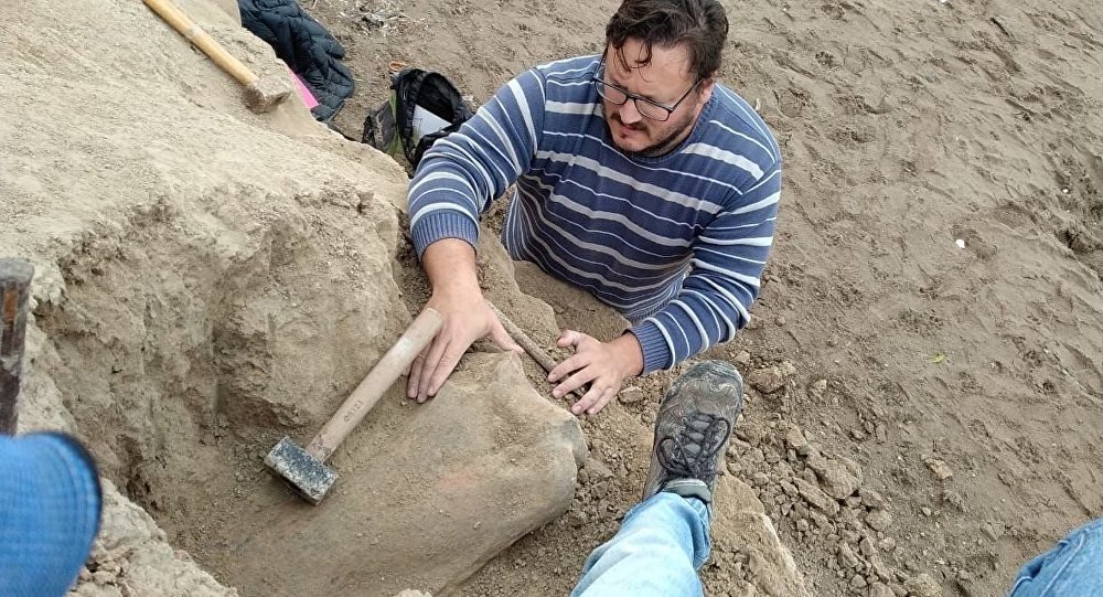 Αργεντινή: Φοιτητές ανακάλυψαν απολίθωμα μεγαλόσωμου προϊστορικού ζώου (φωτο)