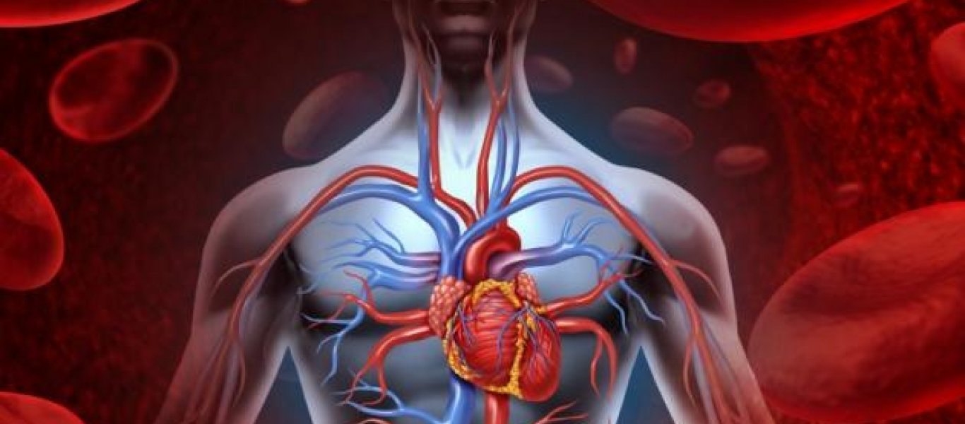 Αυτές είναι οι τροφές που «καθαρίζουν» τις αρτηρίες