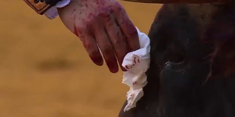 Ταυρομάχος σκουπίζει το αίμα από τα μάτια του ταύρου πριν τον σκοτώσει – Το βίντεο που προκάλεσε αντιδράσεις