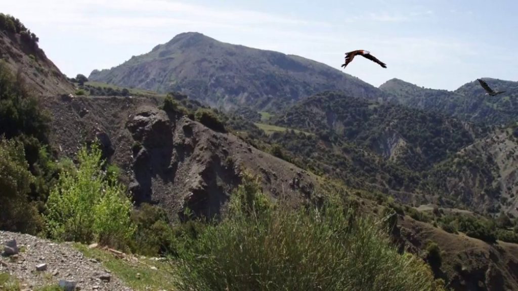 Το μεγαλύτερο τοπωνύμιο του κόσμου με 85 γράμματα – Δεν μπορείς να το διαβάσεις με τίποτα (φωτο)