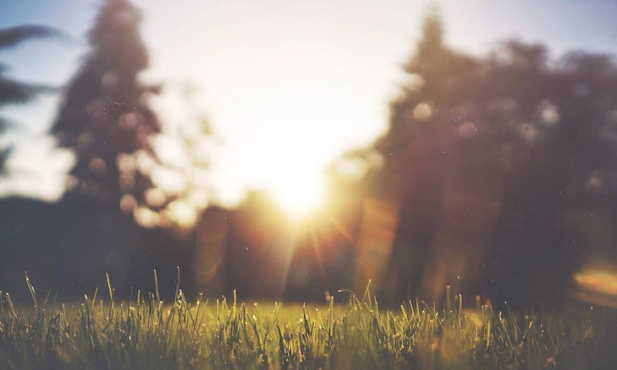 Έκαναν μια βόλτα στο πάρκο – Αυτό που βρήκε η κόρη τους τούς άλλαξε τη ζωή!