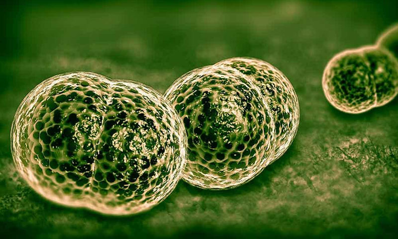 Η μηνιγγίτιδα δεν κάνει διακρίσεις – Τι πρέπει να προσέξετε