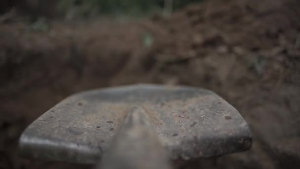 Συγκλονιστικό: Ο κήπος έκρυβε ένα μεγάλο «μυστικό» (φωτο)