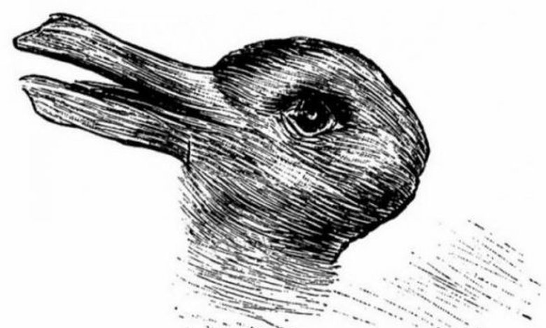 Κουνέλι η πάπια; Η απάντηση φανερώνει το πόσο έξυπνος είσαι