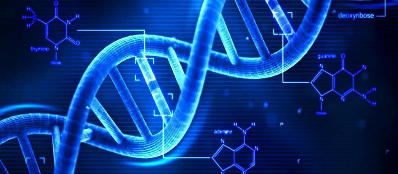 Κρύβονται τελικά οι ασθένειες στο DNA μας; – Τι έδειξε ευρωπαϊκή μελέτη