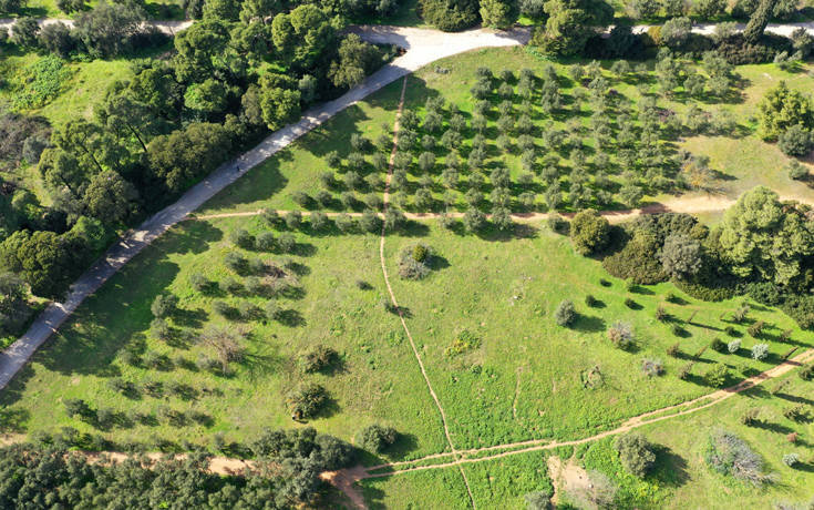 Σήμερα η Ευρωπαϊκή Ημέρα Πάρκων: Τέσσερα σημεία στην Αττική για να την τιμήσετε δεόντως