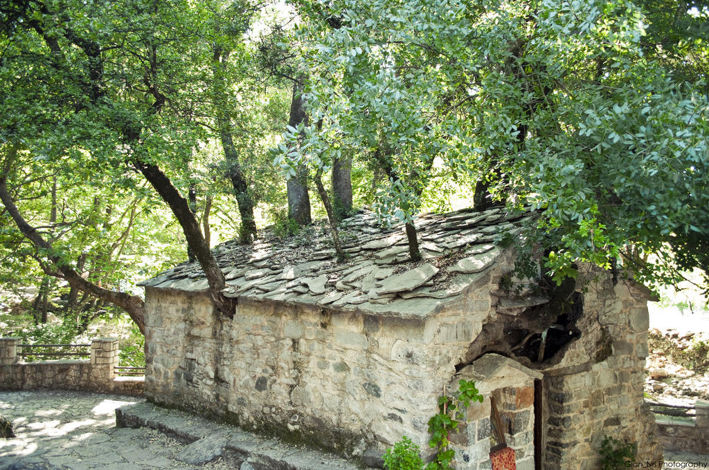 Το ανεξήγητο φαινόμενο με τα δένδρα στη σκεπή της Αγίας Θεοδώρας (βίντεο)