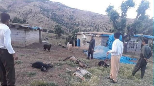 Αυτός είναι ο «πολιτισμός» των Τούρκων επιδρομέων: Σκοτώνουν ακόμη και ζώα στο βόρειο Ιράκ