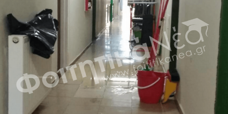 Φοιτητές του ΑΠΘ καταγγέλλουν: Οι ακαθαρσίες έφτασαν μέχρι τα δωμάτια της εστίας (φωτο)