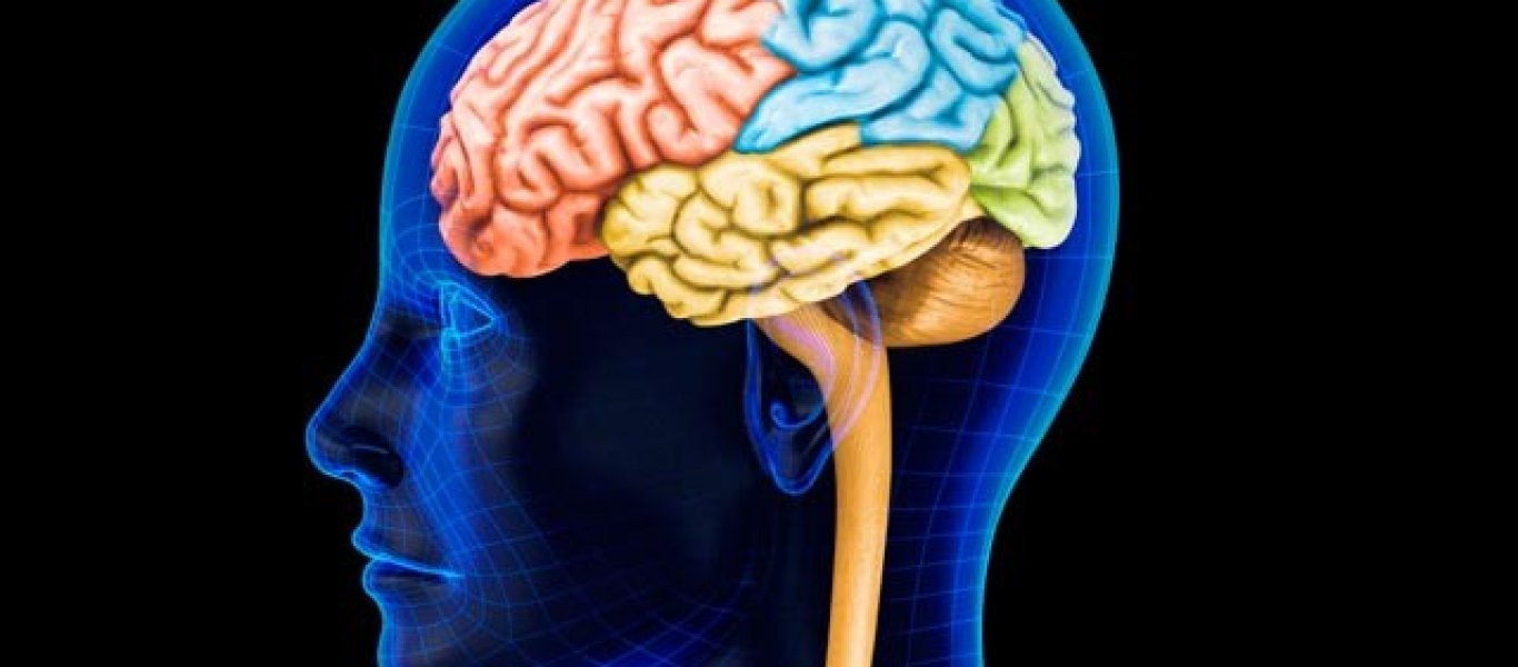 Πώς το Διαδίκτυο αλλάζει τον εγκέφαλο του ανθρώπου – Τι έδειξε μεγάλη έρευνα