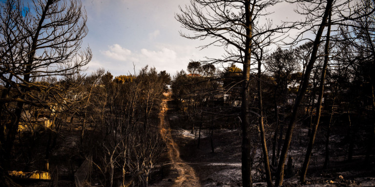 Φωτιά στο Μάτι: Αγωγή 1,5 εκατ. ευρώ για το ζευγάρι που απανθρακώθηκε αγκαλιασμένο